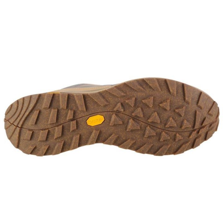 Vyriški žygio batai Jack Wolfskin Terraventure Texapore, smėlio