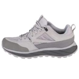 Vyriški žygio batai Jack Wolfskin Terraquest Texapore Low, pilki