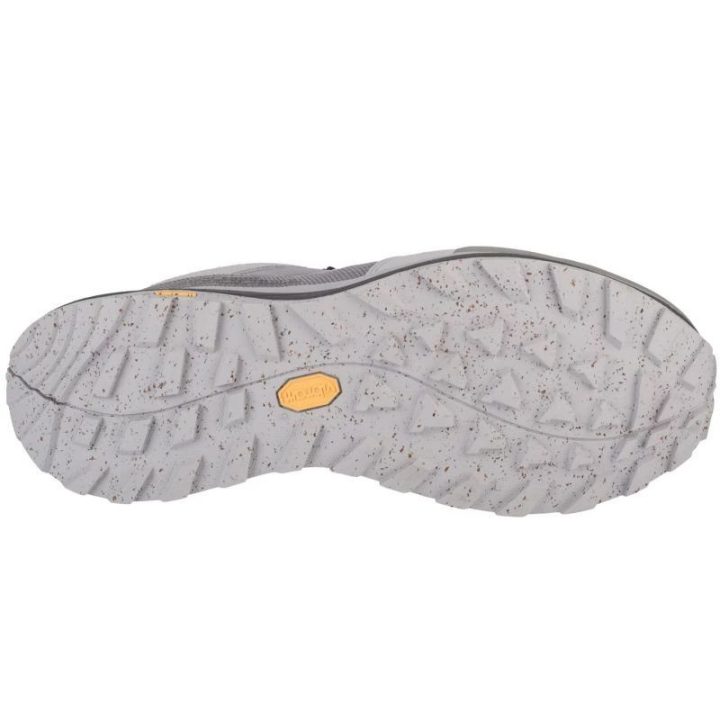 Vyriški žygio batai Jack Wolfskin Terraquest Texapore Low, pilki