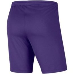 Vaikiški šortai su prigludusiu kirpimu Nike Dry Park III, violetiniai