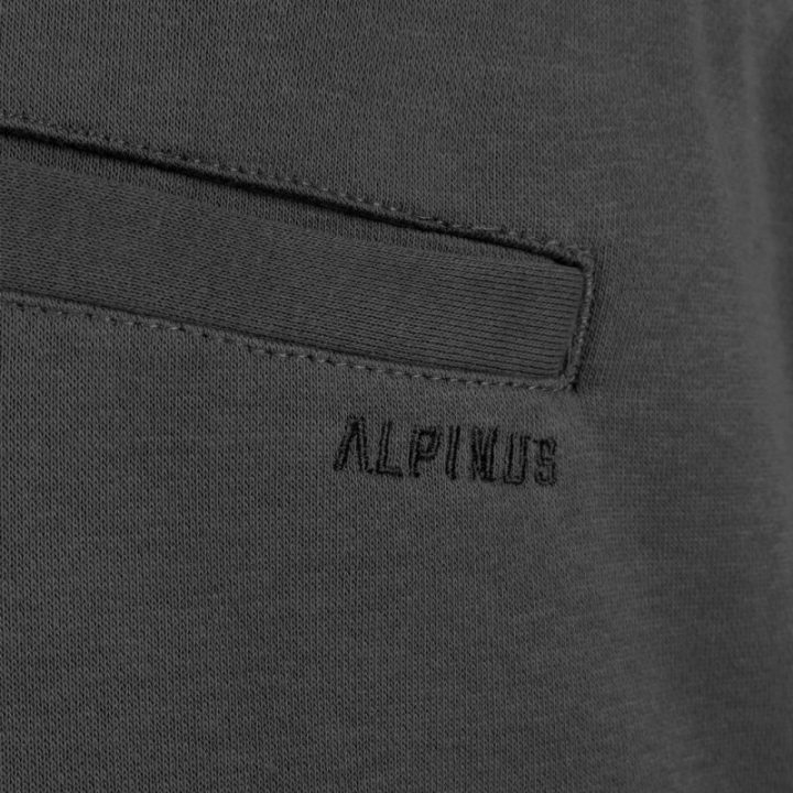 Vyriški medvilniniai šortai Alpinus Bajadilla, pilki