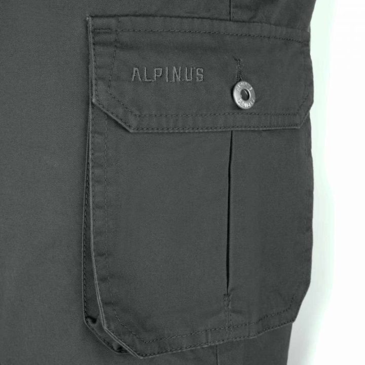 Vyriški medvilniniai šortai Alpinus Askja, pilki