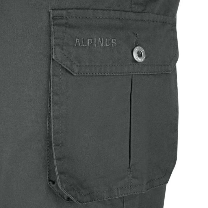 Vyriški medvilniniai šortai Alpinus Askja, pilki
