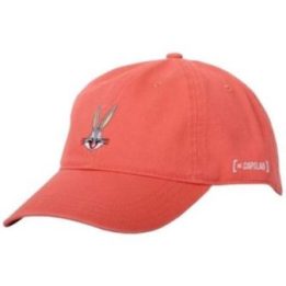 Uniseks kepurė su snapeliu Capslab Freegun Looney Tunes, oranžinė