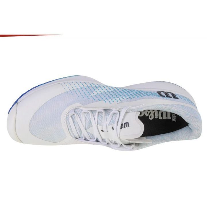 Vyriški teniso bateliai Wilson Kaos Swift 1.5 Clay, balti