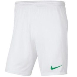 Vaikiški šortai su Dri-FIT Nike Y Park III, balti