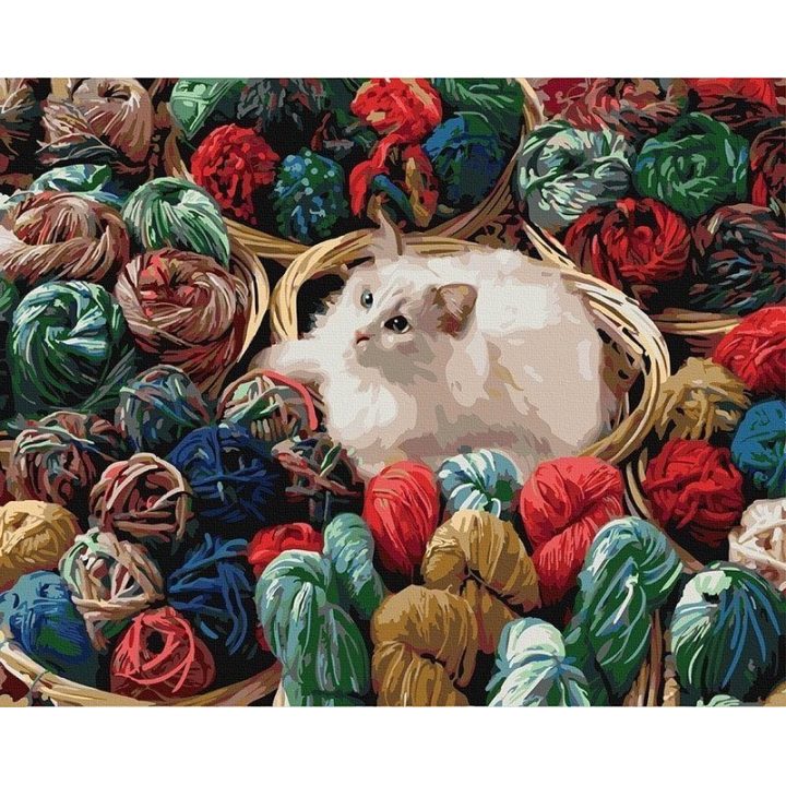 Tapyba pagal skaičius Katė 40x50 cm