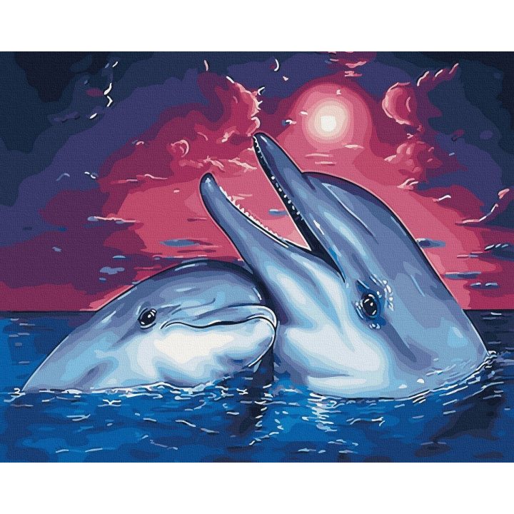 Tapyba pagal skaičius Delfinai 40x50 cm