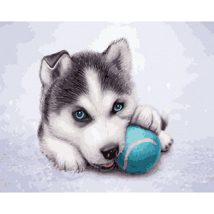 Tapyba pagal skaičius Husky šuniukas su kamuoliuku 40x50 cm