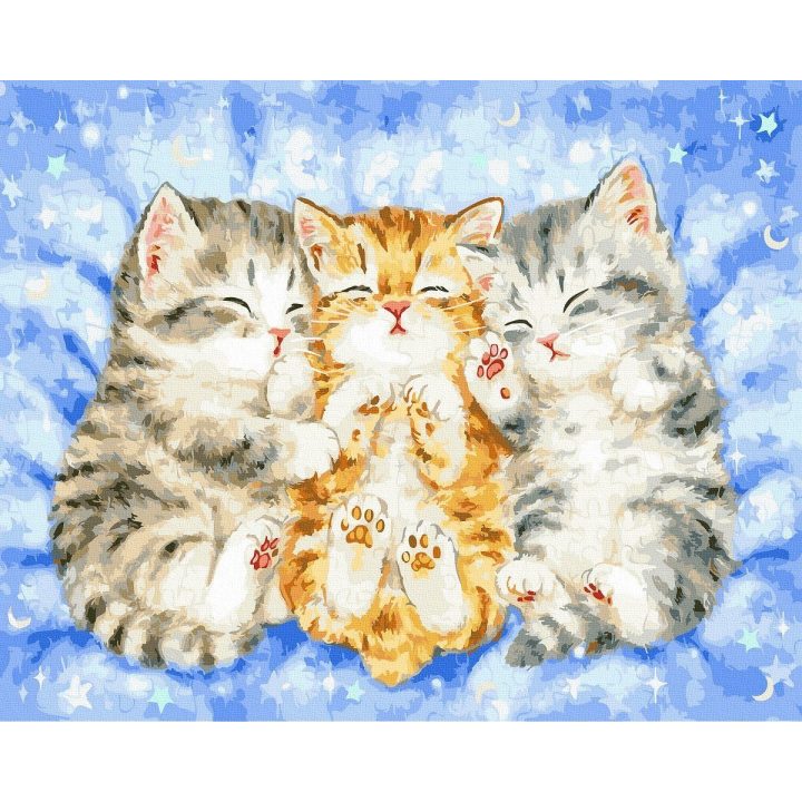 Tapyba pagal skaičius Mieli kačiukai 40x50 cm
