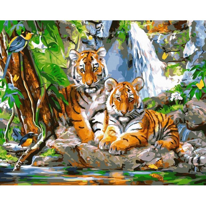 Tapyba pagal skaičius Tigro jaunikliai prie vandens 40x50 cm