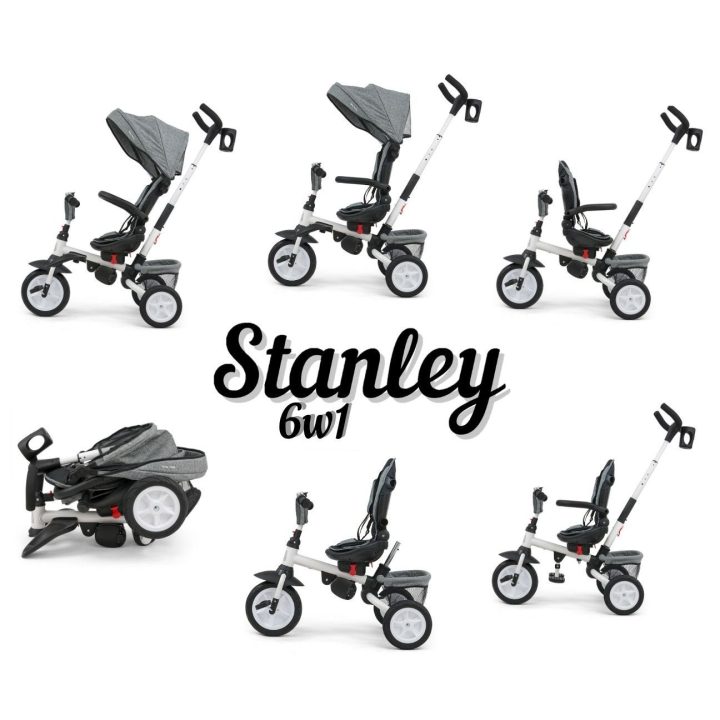 3116 Stanley Rubber Grey 6 viename triratis