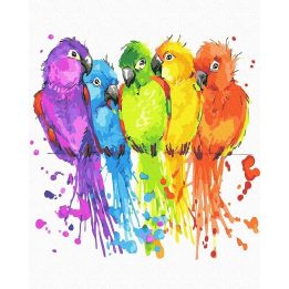 Tapyba pagal skaičius Spalvotas choras 2 40x50 cm
