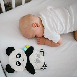Pliušinis žaisliukas su čežančiais garsais PANDA POLLY