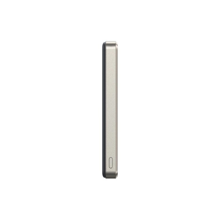 Powerbank“ Pro 10000 mAh – titanas