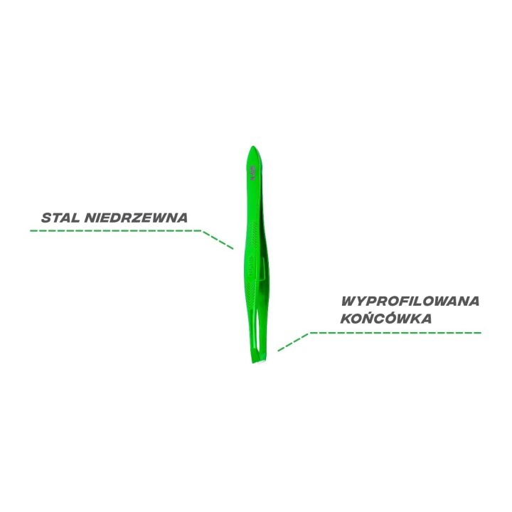 pincetinė žirklutė žalia
