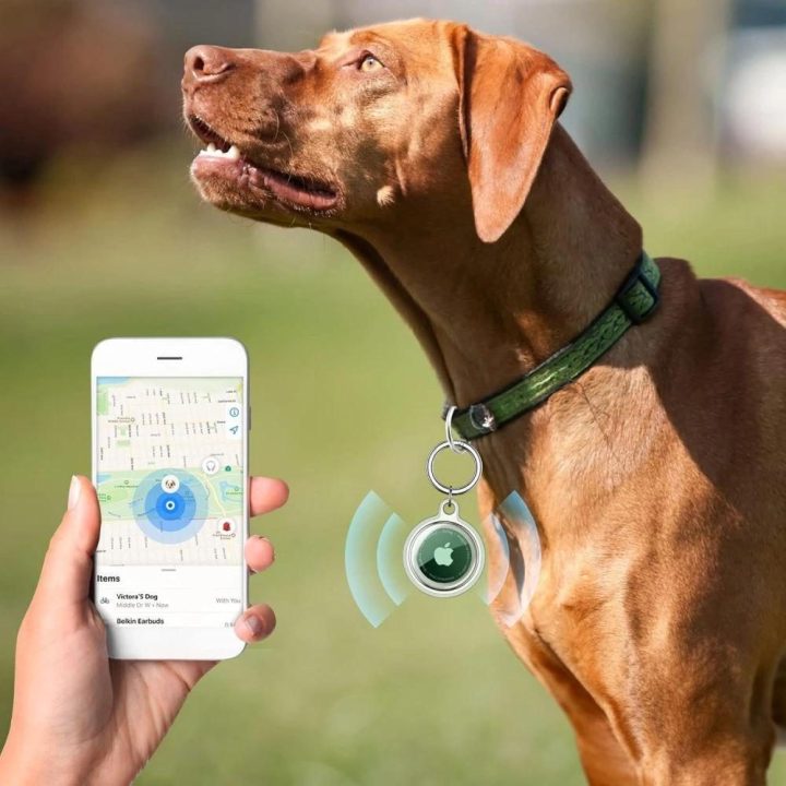Apple AirTag dėklai