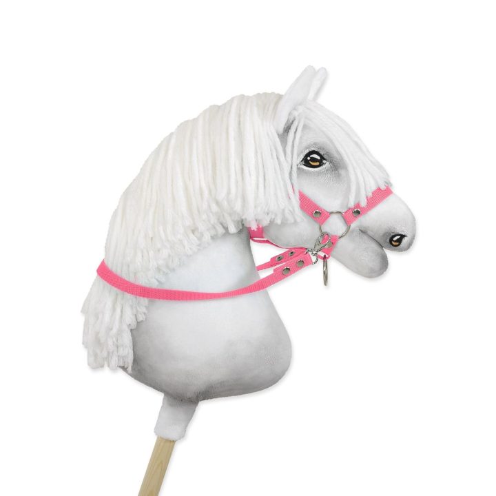 Hobby horsing vadeles kantarui – rožinės