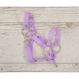 Reguliuojamas kantaras hobi arkliukui A3 violetinis