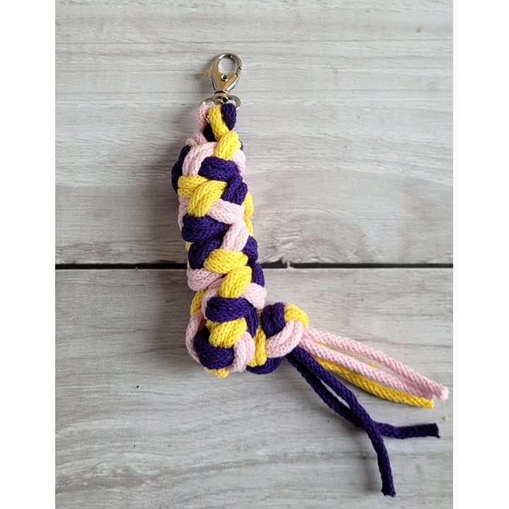 Pavadėlis hobi arkliukui, rožinis/violetinis/geltonas