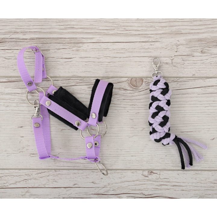 Hobi arkliuko kantaras ir pavadys – juoda ir violetinė