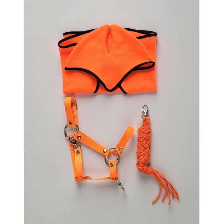 Rinkinys hobby horse: oranžinis pledas ir ausinukai