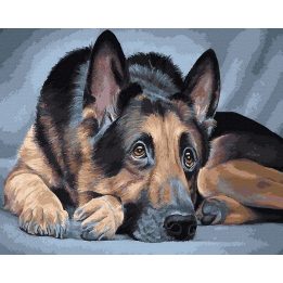 Tapyba pagal skaičius vokiečių aviganis 40x50 cm