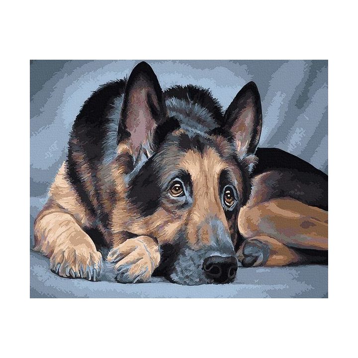 Tapyba pagal skaičius vokiečių aviganis 40x50 cm