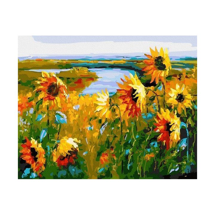 Tapyba pagal skaičius Saulėgrąžų laukas 40x50 cm