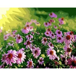 Tapyba pagal skaičius su ramunėmis 40x50 cm