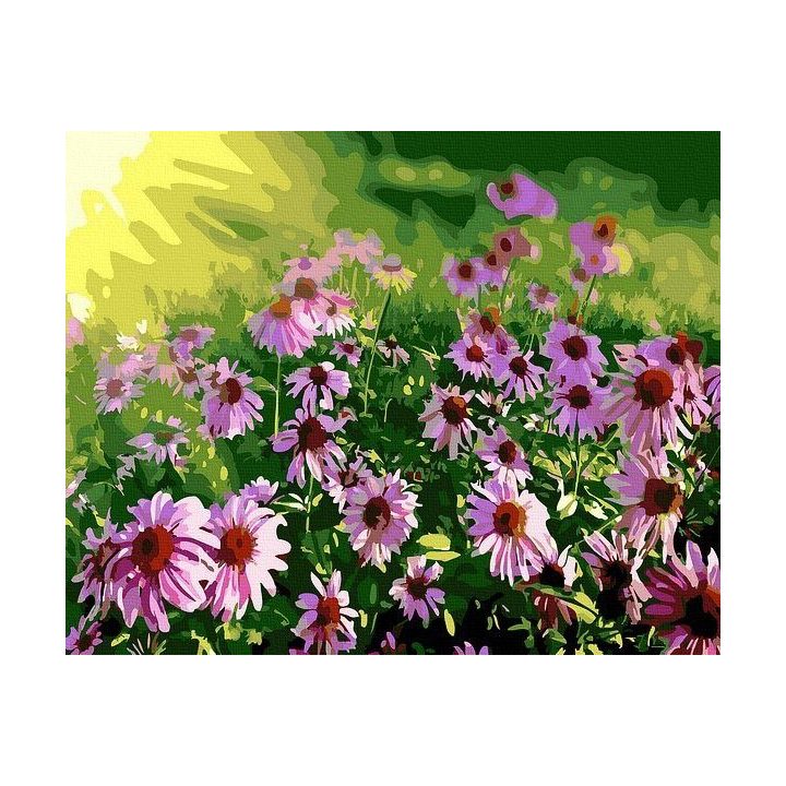 Tapyba pagal skaičius su ramunėmis 40x50 cm