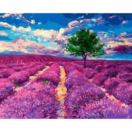 Tapyba pagal skaičius levandų motyvu 40x50 cm