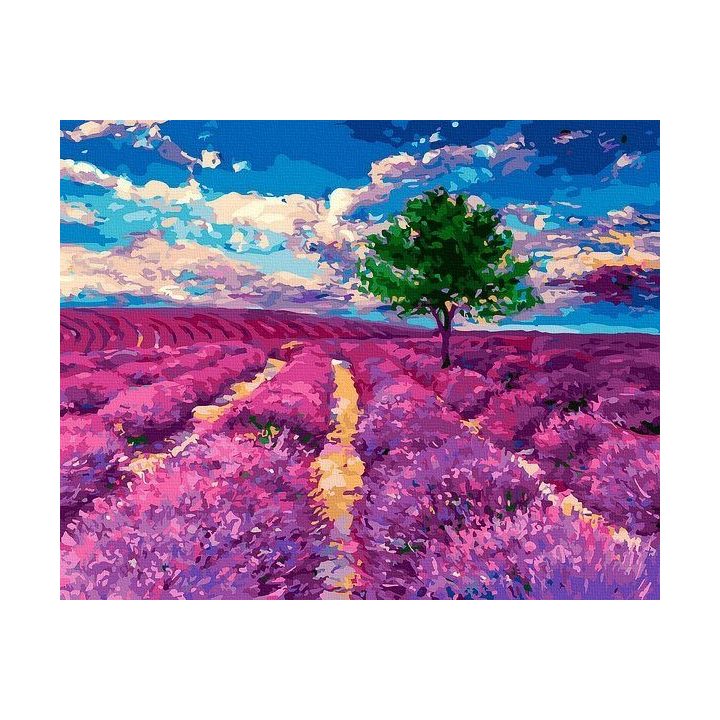 Tapyba pagal skaičius levandų motyvu 40x50 cm