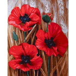 Tapyba pagal skaičius su raudonomis aguonomis 40x50 cm