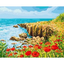 Tapyba pagal skaičius su aguonomis, 40x50 cm