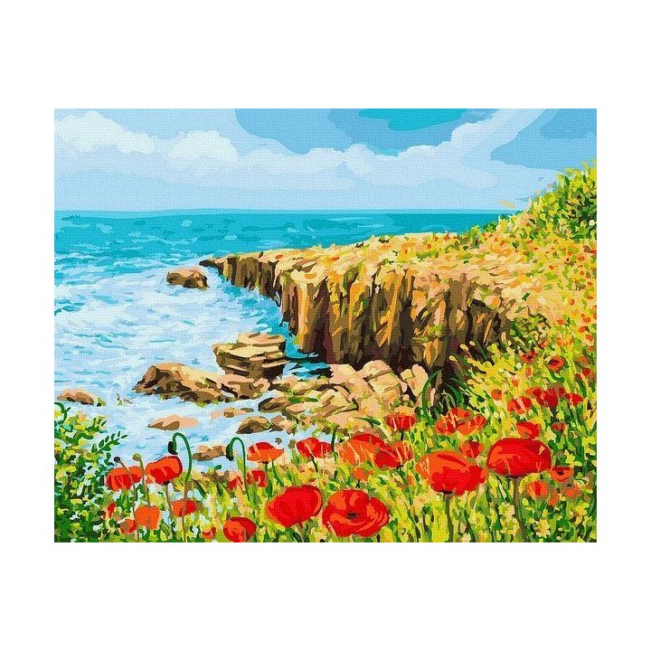 Tapyba pagal skaičius su aguonomis, 40x50 cm