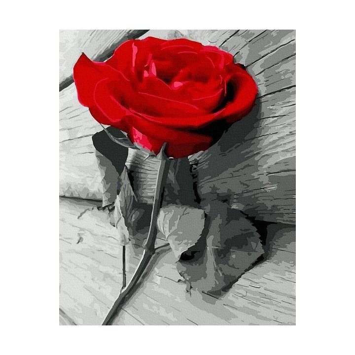 Tapyba pagal skaičius Scarlet Rose 40x50 cm
