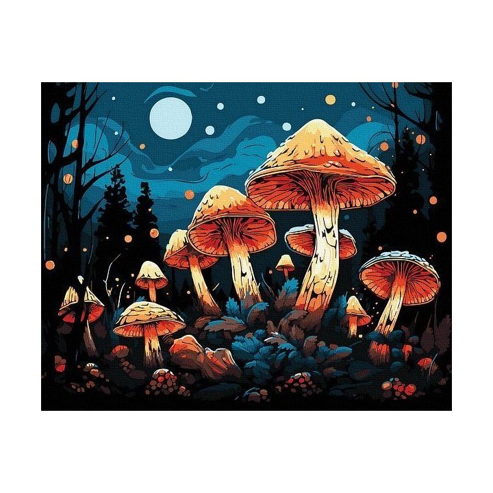 Tapyba pagal skaičius Mistiniai grybai 40x50 cm