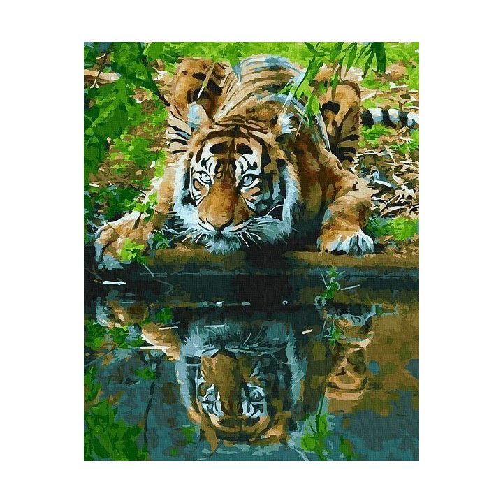 Tapyba pagal skaičius Tigro atspindys 40x50 cm