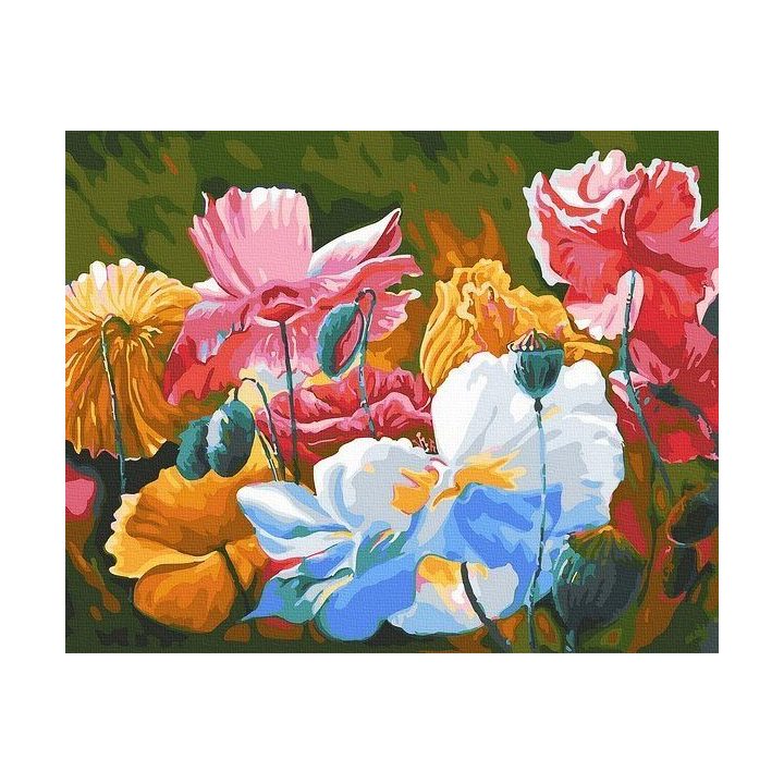 Tapyba pagal skaičius Spalvingos Gėlės 40x50 cm