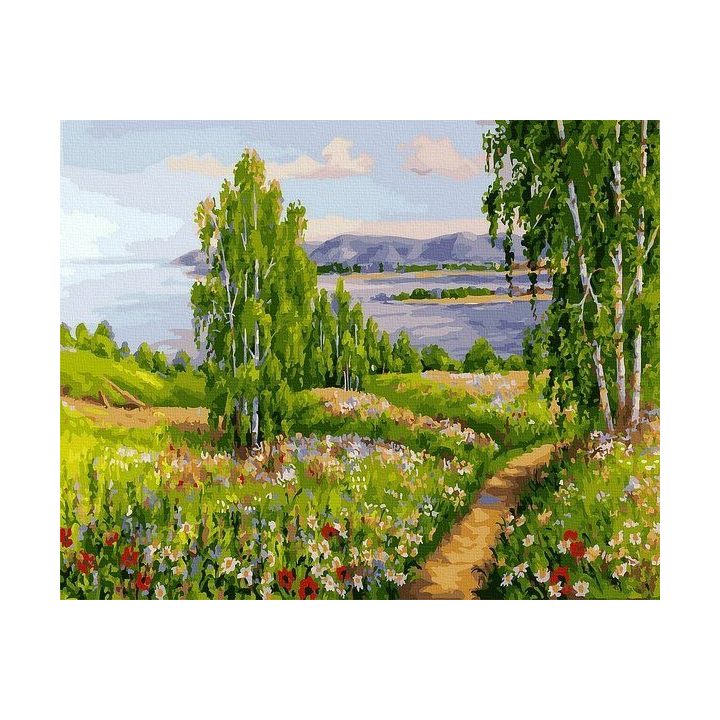 Tapyba pagal skaičius Vasaros kelias 40x50 cm