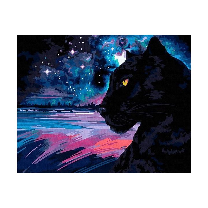Tapyba pagal skaičius Pantera prieblandoje 40x50 cm