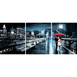 Tapyba pagal skaičius Romantiškas Lietaus tiltas 40x50x3 cm