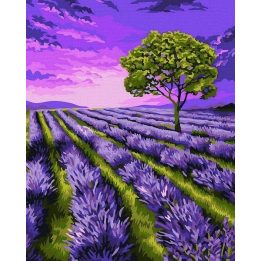 Tapyba pagal skaičius Levandų laukas 40x50 cm