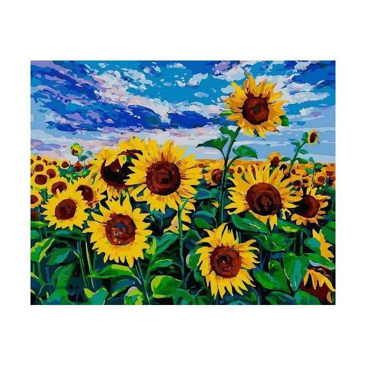 Tapyba pagal skaičius Saulėgrąžų laukas 40x50 cm
