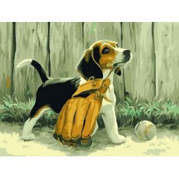 Tapyba pagal skaičius Biglis su pirštine 40x50 cm