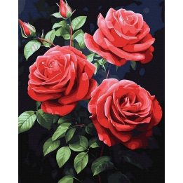 Tapyba pagal skaičius Raudonos rožės 40x50 cm