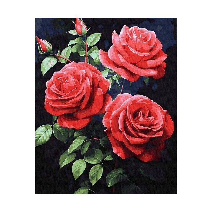Tapyba pagal skaičius Raudonos rožės 40x50 cm