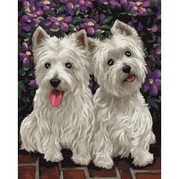 Tapyba pagal skaičius Westie Duo 40x50 cm