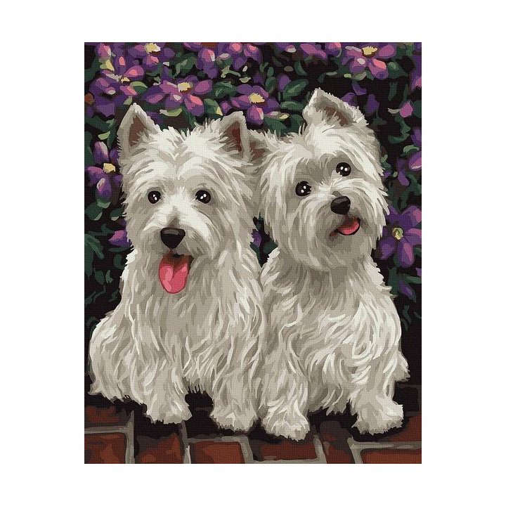 Tapyba pagal skaičius Westie Duo 40x50 cm